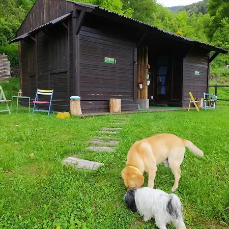 Отель Cruells Campelles